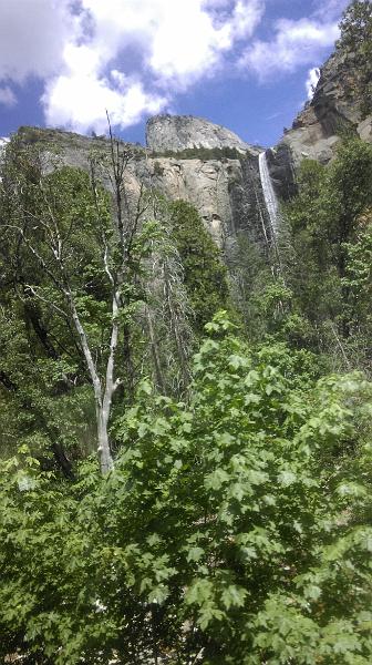 IMAG2941.jpg - Jun 04-18, 2016 17屆國際魚類營養學術研討會會後旅遊 (美國, 愛達荷州, Yosimete) [17th ISFNF, Idaho,  USA]-1